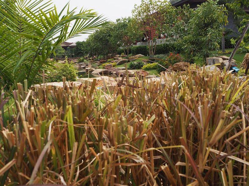 The Canal Garden Resort Ban Huai Sua Esterno foto